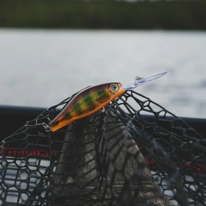 Vobler Rapala Shadow Rap Jack Deep SDRJD05 AS 5cm 6g - Img 3
