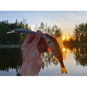 Vobler Rapala Vobler Shadow Rap Shad Deep SDRSD09 BGH 9cm 12g pentru pescuit la rapitori - Fisela