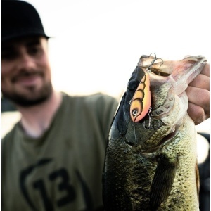 Vobler Rapala Vobler Snare SN50 TG 6cm 16g pentru pescuit la rapitori - Fisela