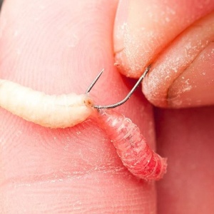 Carlig Guru Carlige Oblete F1 Maggot Barbless pentru pescuit - Fisela