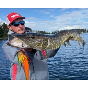 Montura Swimbait VMC Moustache Shallow Kingston 22g - echipament pentru pescuit - Fisela