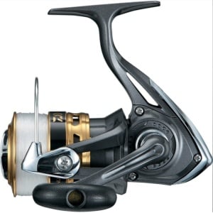 Mulineta Daiwa Join US