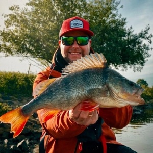 Rapala Dives-To DT08 P Perch 5cm 12g