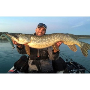 Shad Sakura Slit Shad Evo Pepper Mint 10cm 5buc - echipament pentru pescuit - Fisela
