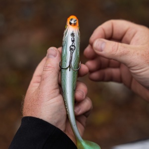 Swimbait Stiuca Rapala Soft Peto Prerigged BLG 16cm 36g - echipament pentru pescuit - Fisela