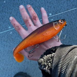 Swimbait Stiuca Rapala Soft Peto Prerigged BLG 16cm 36g - echipament pentru pescuit - Fisela