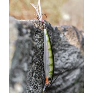 Vobler Avat Rapala X-Rap XR08 GGH 8cm 7g - Img 2