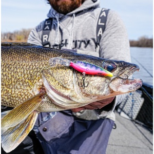 Vobler Rapala Harvest Shad HVSD07 P 7cm 9g