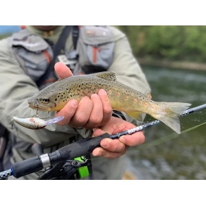 Vobler Rapala Vobler Shad Dancer SDD05 S 5cm 8g pentru pescuit la rapitori - Fisela