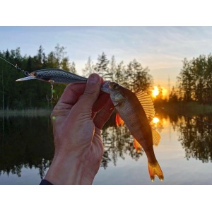 Vobler Rapala Vobler Shadow Rap Shad Deep SDRSD09 S 9cm 12g pentru pescuit la rapitori - Fisela