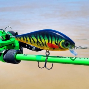 Vobler Rapala Super Shadow Rap SSDR11 PGG 11cm 38g pentru pescuit la rapitori - Fisela