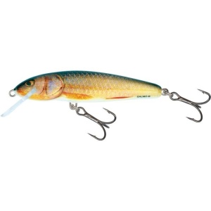 Vobler Salmo Minnow M7F RR Real Roach 7cm 6g