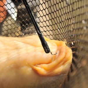 Degorjor Guru QM1 Negru Portocaliu Pentru Carlige 10-18