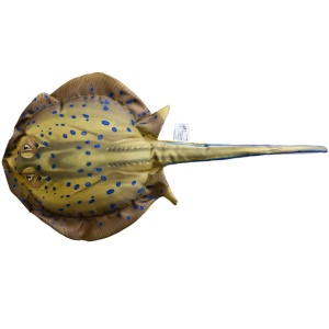 Perna Cadou Pisica de Mare Artificiala din Plus 50cm