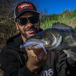 Rapala Freeloader 4 Black And Blue BKNB 10.5cm 6buc - Img 9