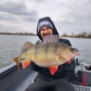 Rapala Neds Albino Pearl APL 7.5cm 10buc