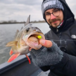 Rapala Neds Goby GO 7.5cm 10buc - Img 12