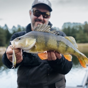 Rapala Precision Xtreme Airboss Live Roach ROL 8cm 9g - Img 8