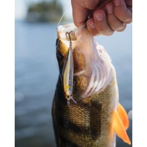Rapala Precision Xtreme Airboss Twilight Zone UV TWZUV 8cm 9g - Img 6