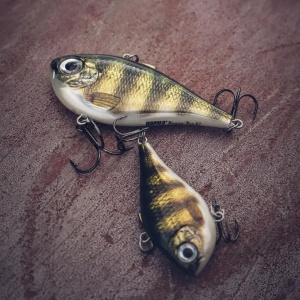 Rapala Rippin Rap RPR06 MFR Moldy Fruit 6cm 14g - Img 7