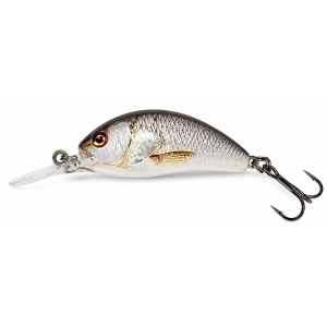 Salmo Hornet H3F RD Real Dace 3.5cm 2.2g