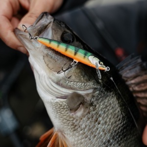 Vobler Rapala Floater Elite FE120 GDS12cm 10g pentru pescuit la rapitori - Fisela