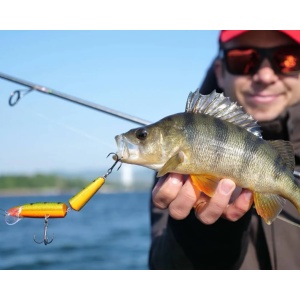 Vobler Rapala Vobler Jointed J05 SFC 5cm 4g pentru pescuit la rapitori - Fisela