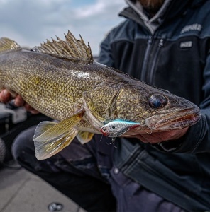 Vobler Rapala Rippin Rap CSD 5cm 9g - Img 4