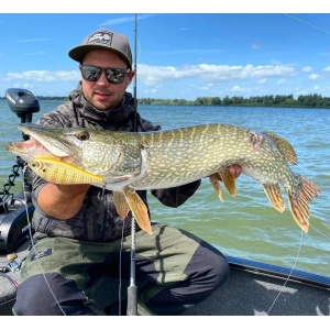 Vobler Rapala Super Shadow Rap SSDR16 SCRB 16cm 77g pentru pescuit la rapitori - Fisela