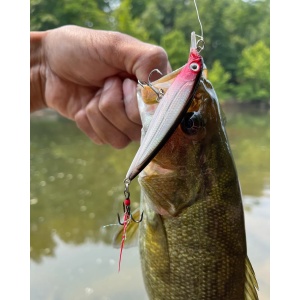 Vobler Rapala X-Rap XR06 TR Brown Trout 6cm 4g - Img 4