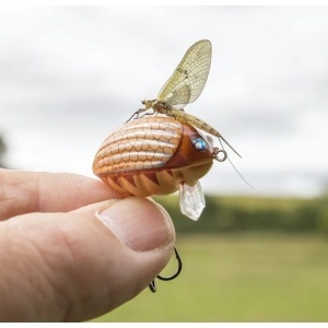 Vobler Salmo Vobler Lil Bug BG3F BBG 3cm 4.3g pentru pescuit la rapitori - Fisela