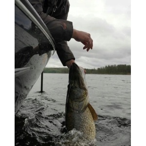 Vobler Salmo Vobler Slider SD10S OPA 10cm 46g pentru pescuit la rapitori - Fisela