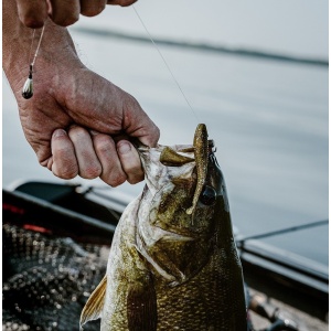 Crushcity Mooch Minnow Tennessee Shad 9cm 6buc - echipament pentru pescuit - Fisela