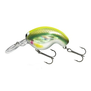 Daiwa Chibi Fuku 1 Crank Yummi 4.1cm 6.5g