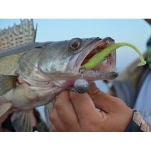 Illex iShad Tail Sight Candy 7cm 10buc - Img 2