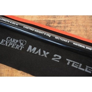 Lanseta Carp Expert Lanseta Max2 Telematch 4m 5-25g pentru pescuit - Fisela