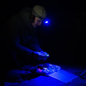 Lanterna Cap Ledlenser HF7R RGB 1200 lm Camouflage - Img 8