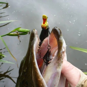 Naluca Stiuca Rata Savage Gear 3D Suicide Duck UD 10.5cm 28g - Img 4