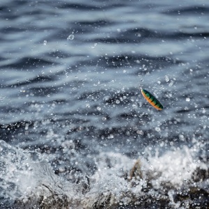 Oscilanta Antibradis Rapala Minnow Spoon FT 7cm 15g - echipament pentru pescuit - Fisela