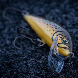 Rapala Countdown CD03 TR Brown Trout 3cm 4g - Img 15