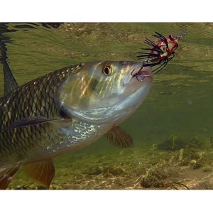 Vobler Clean Sakura Notobug 30F DR Albastru 30mm 3.5g pentru pescuit la rapitori - Fisela
