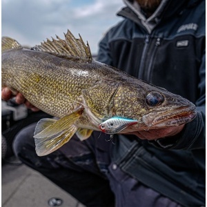 Vobler Rapala Vobler Rippin Rap Live RPR05 LBGL Bluegill 5cm 9g pentru pescuit la rapitori - Fisela