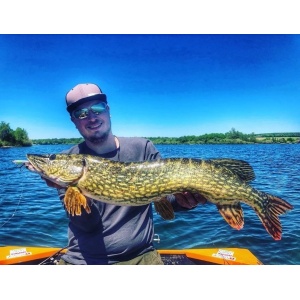 Vobler Rapala Ripstop RPS12 PD 12cm 14g pentru pescuit la rapitori - Fisela