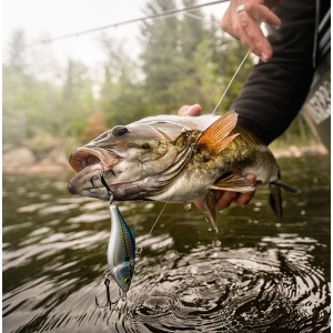 Vobler Rapala RNR Rattlin Chrome Blue CHB 7cm 16g - Img 4