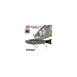 Biwaa Strout US Shad 14cm 29g