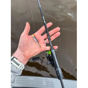 Crushcity Mooch Minnow Ghost Morning Dawn 9cm 6buc - echipament pentru pescuit - Fisela