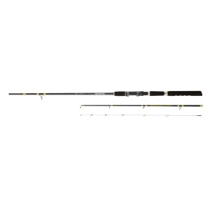 Lanseta Caras Dunare Daiwa 19 NT Bolentino 3m 30-150g