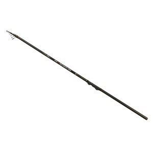 Lanseta Carp Expert Max2 Telematch 4m 5-25g
