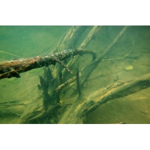 Leadcore Korda Kable XT Brown 70lb 15m - detaliu produs