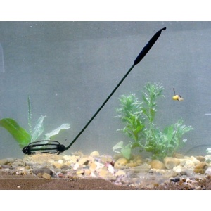 Montura Feeder Suspend cu Flotor 30g
